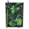 Tableau végétal Jungle