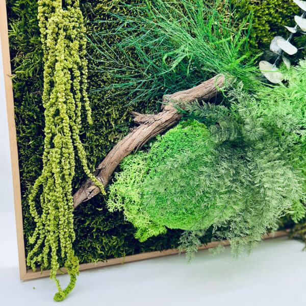 Tableau végétal Jungle – Image 4