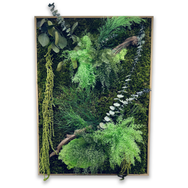 Tableau végétal Jungle