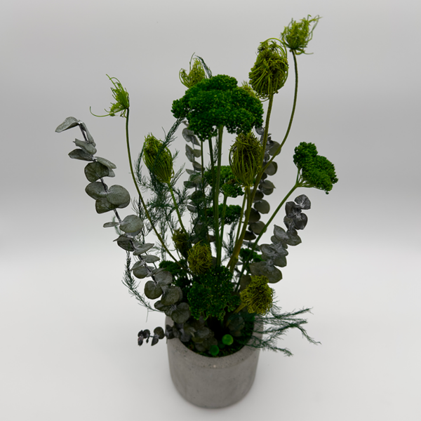 Pot végétal Fenouil clair – Image 4