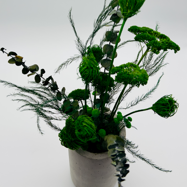 Pot végétal Fenouil foncé – Image 4