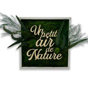 Tableau végétal Un petit air de Nature