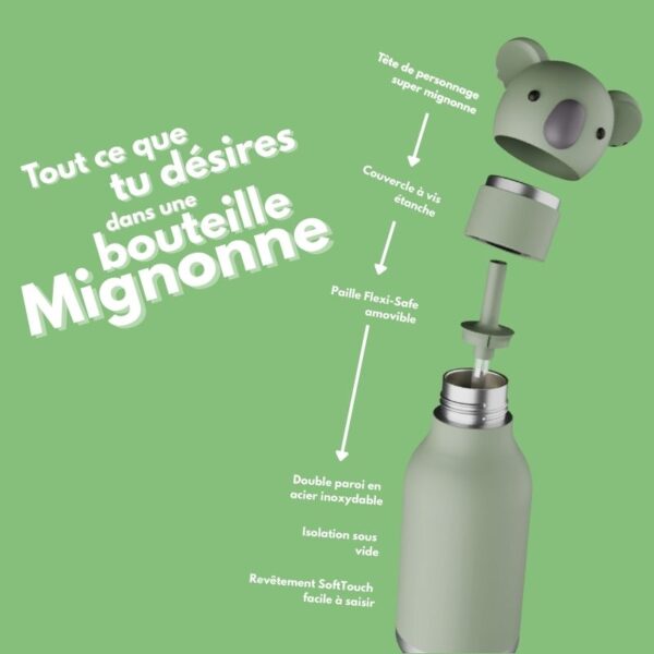 Gourde - Finn le Koala – Image 3