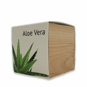 EcoCube - Aloe Vera