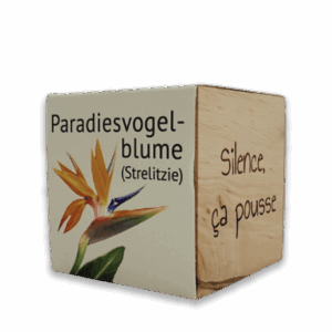 EcoCube - Oiseau du Paradis