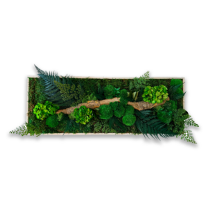 Tableau "Forêt enchantée"