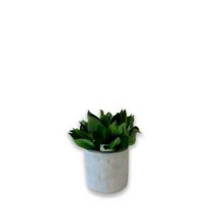 Pot "Posy"