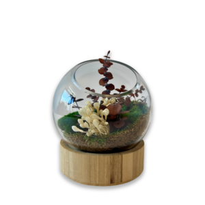 Globe "Eucaly"