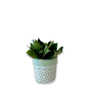 Pot "Posya"