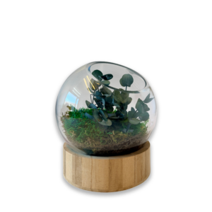 Globe "Lyp"