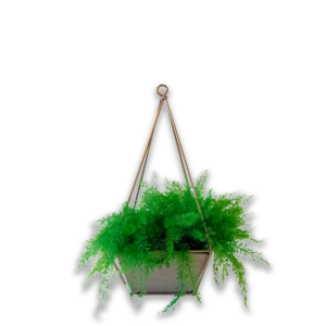 Pot "Folia"