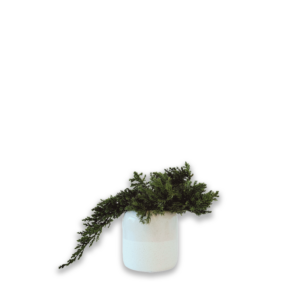 Pot "Feng"