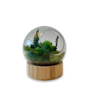 Globe "Aura"