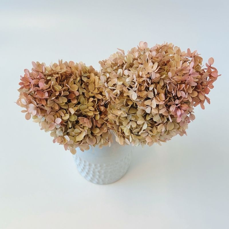 Vase "Alma" – Image 2