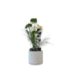 Pot "Origin"