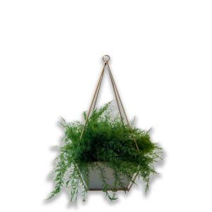 Pot "Elément"