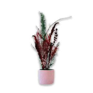 Pot "Nova"