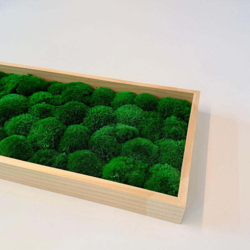 Tableau "Mossia" – Image 3