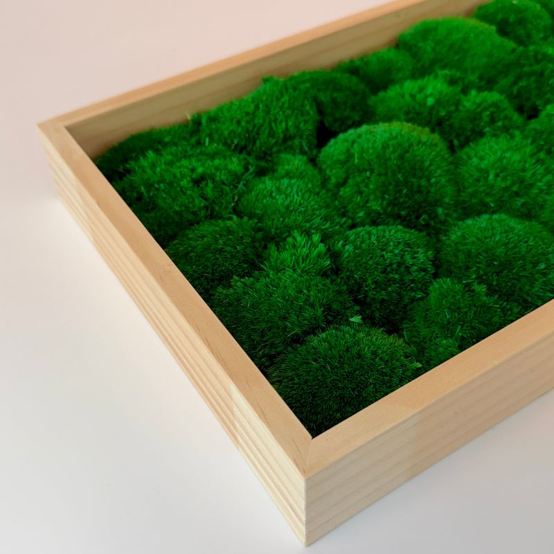 Tableau "Mossia" – Image 4