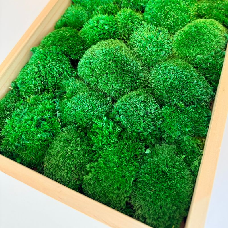 Tableau "Mossia" – Image 2