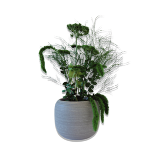 Pot "Canopy"