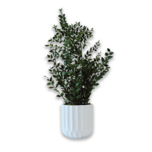 Pot "Siena"
