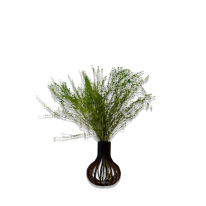 Pot "Verona"