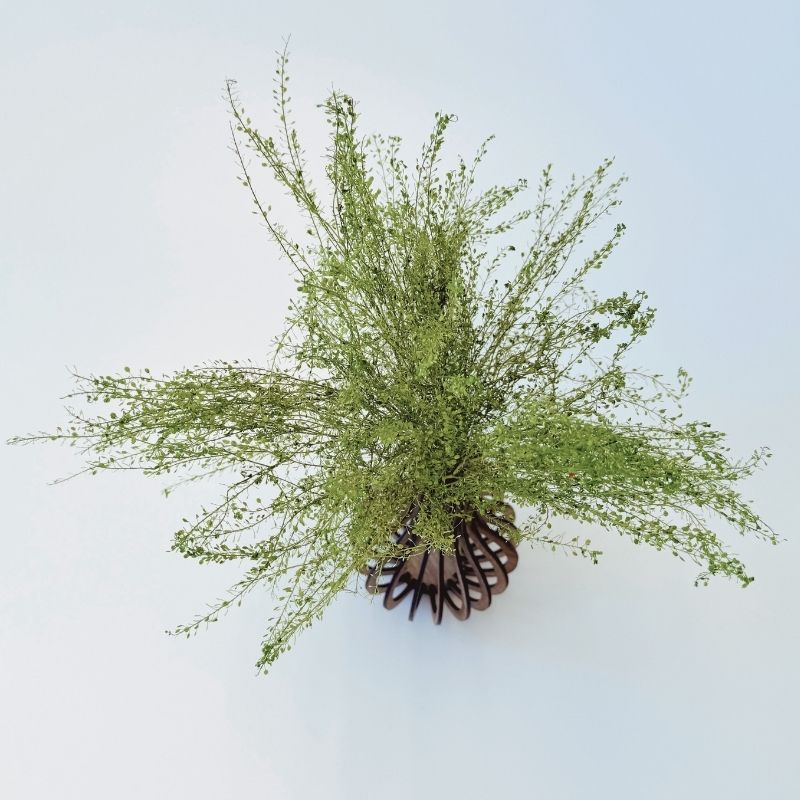Pot "Verona" – Image 4