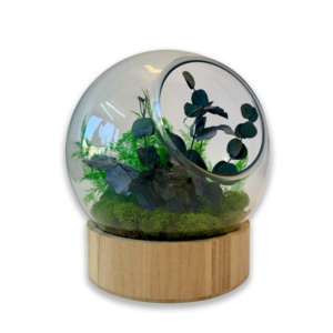 Globe "Luna"