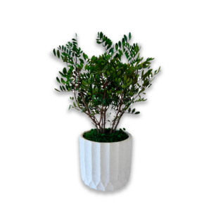 Pot "Oliver"